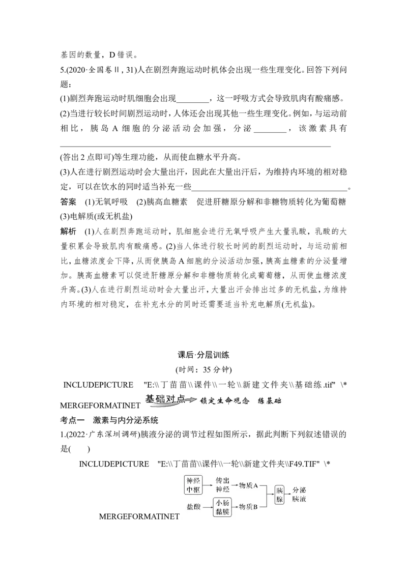 第24讲体液调节_2024年新高考资料_1.2024一轮复习_2024年高考生物一轮复习讲义（新人教版）_另附1套Word版题库_选择性必修1_第八单元稳态与调节