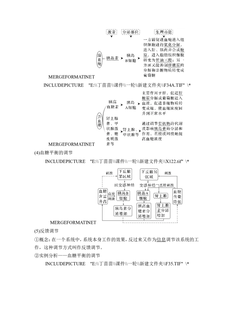 第24讲体液调节_2024年新高考资料_1.2024一轮复习_2024年高考生物一轮复习讲义（新人教版）_另附1套Word版题库_选择性必修1_第八单元稳态与调节