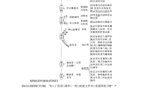 第24讲体液调节_2024年新高考资料_1.2024一轮复习_2024年高考生物一轮复习讲义（新人教版）_另附1套Word版题库_选择性必修1_第八单元稳态与调节
