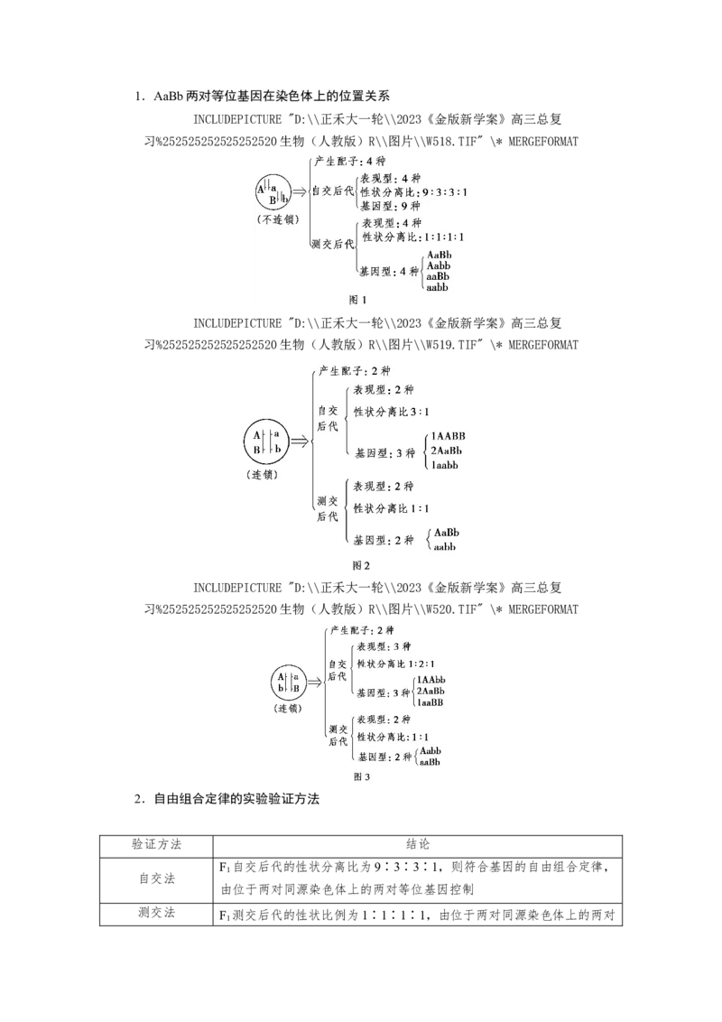 [12533086]高中生物一轮复习学案：第15讲　基因的自由组合定律_新高考复习资料_2023年新高考复习资料_一轮复习_精讲精练2023届新高考生物一轮复习学案