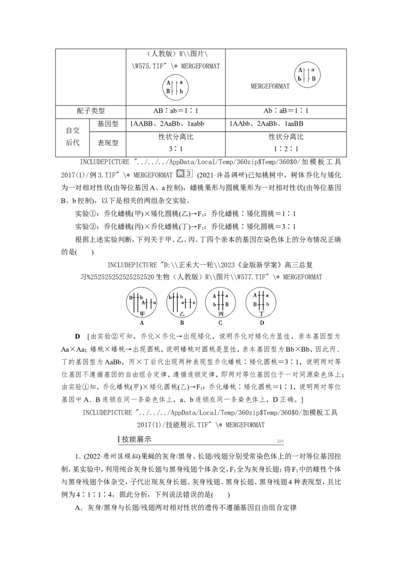 [12533086]高中生物一轮复习学案：第15讲　基因的自由组合定律_新高考复习资料_2023年新高考复习资料_一轮复习_精讲精练2023届新高考生物一轮复习学案