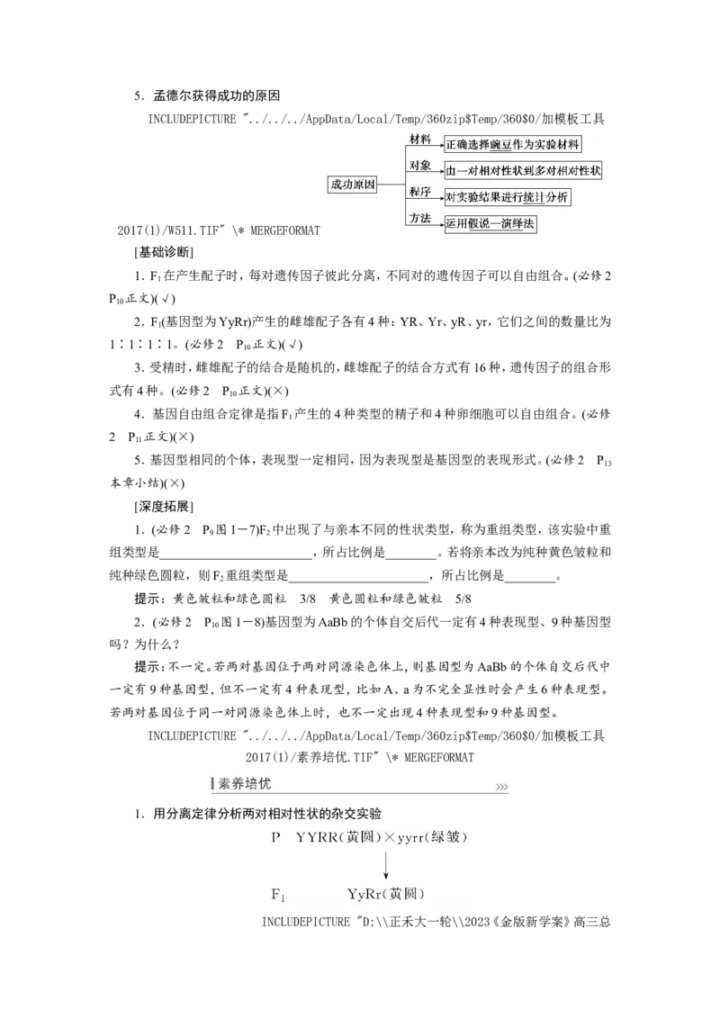 [12533086]高中生物一轮复习学案：第15讲　基因的自由组合定律_新高考复习资料_2023年新高考复习资料_一轮复习_精讲精练2023届新高考生物一轮复习学案