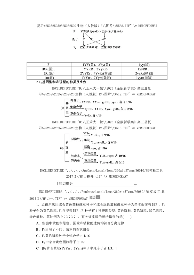 [12533086]高中生物一轮复习学案：第15讲　基因的自由组合定律_新高考复习资料_2023年新高考复习资料_一轮复习_精讲精练2023届新高考生物一轮复习学案