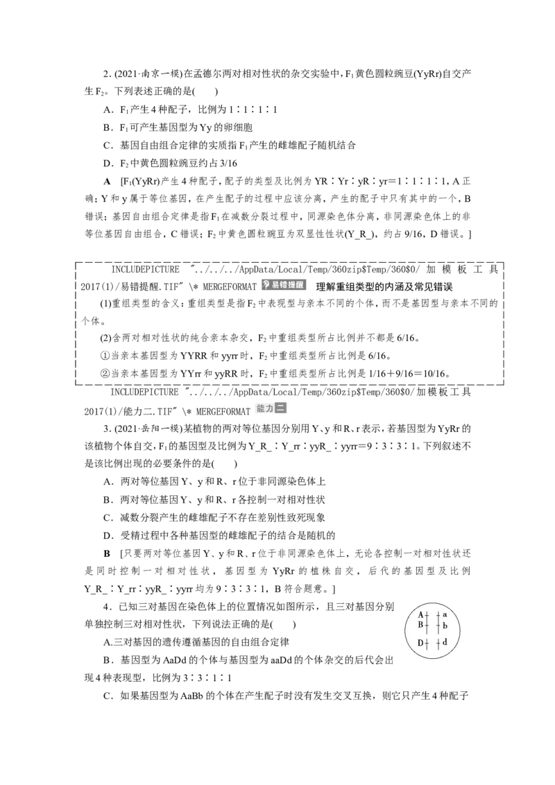[12533086]高中生物一轮复习学案：第15讲　基因的自由组合定律_新高考复习资料_2023年新高考复习资料_一轮复习_精讲精练2023届新高考生物一轮复习学案