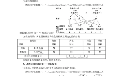 [12533086]高中生物一轮复习学案：第15讲　基因的自由组合定律_新高考复习资料_2023年新高考复习资料_一轮复习_精讲精练2023届新高考生物一轮复习学案