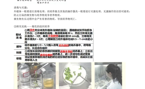 第40讲植物细胞工程（讲义）（学生版）_2024年新高考资料_1.2024一轮复习_2024年高考生物一轮复习讲练测（新教材新高考）