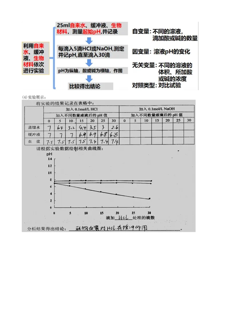 第25讲内环境与稳态（讲义）（教师版）_2024年新高考资料_1.2024一轮复习_2024年高考生物一轮复习讲练测（新教材新高考）