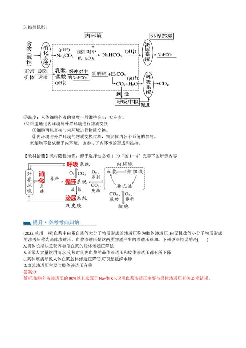 第25讲内环境与稳态（讲义）（教师版）_2024年新高考资料_1.2024一轮复习_2024年高考生物一轮复习讲练测（新教材新高考）