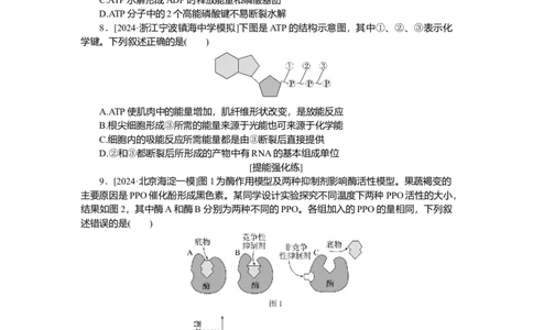 2025届高中生物学一轮复习检测案8　酶与ATP（含解析）_2025年新高考资料_一轮复习_2025届高中生物学一轮复习分层复习检测(含解析)