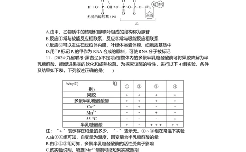2025届高中生物学一轮复习检测案8　酶与ATP（含解析）_2025年新高考资料_一轮复习_2025届高中生物学一轮复习分层复习检测(含解析)