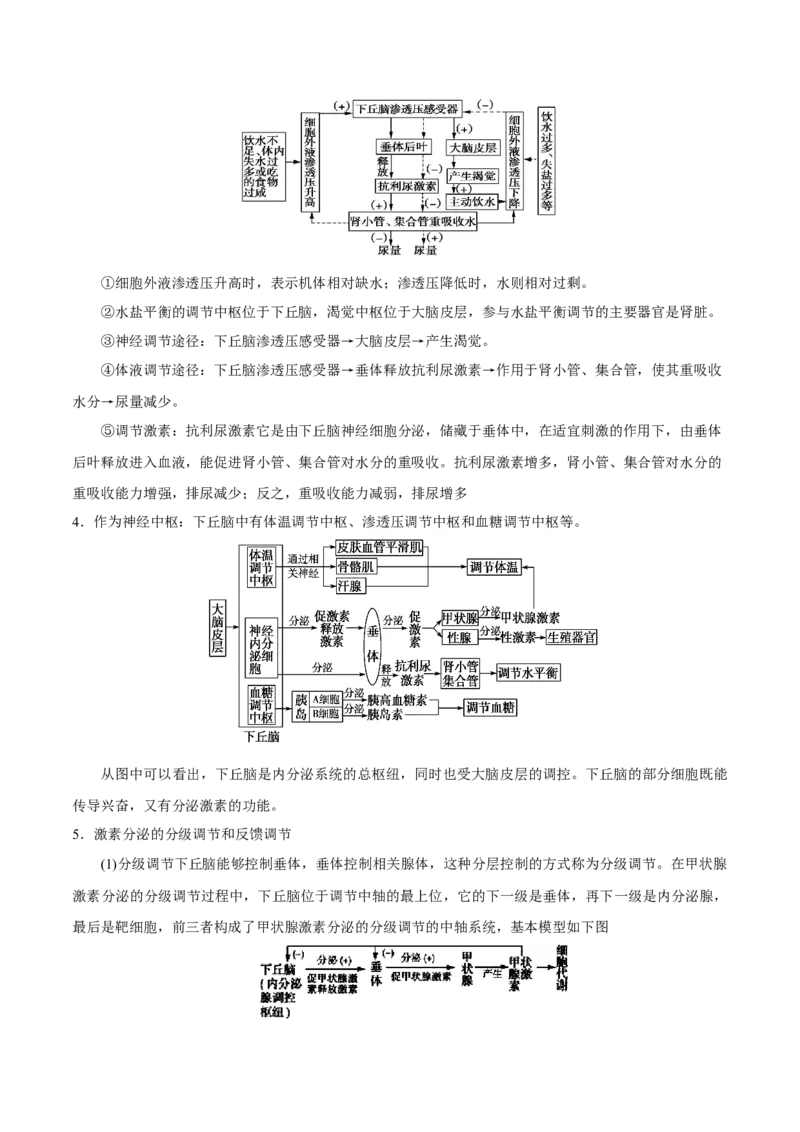 GKSW150_第22讲体液调节-备战2022年高考生物一轮复习精品讲义（人教版）(解析版)_新高考复习资料_2022年新高考复习资料_备战2022新高考生物一轮复习精品讲义（人教版）