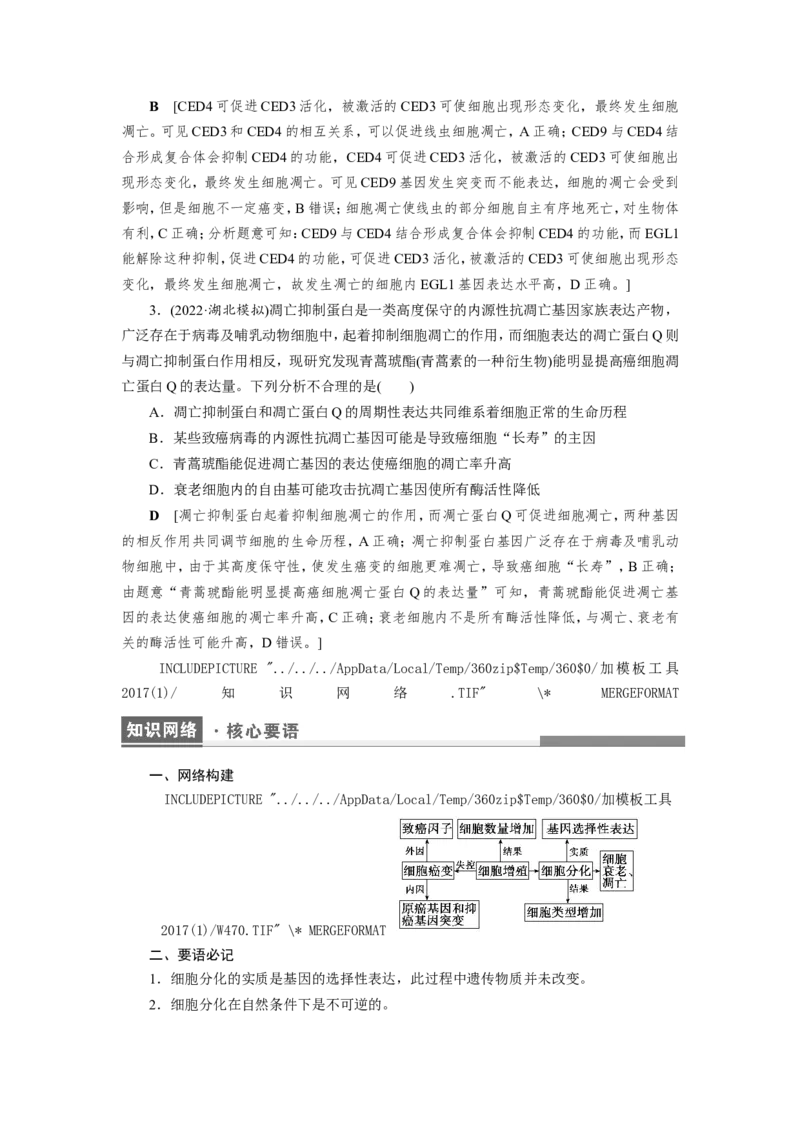 [12533083]高中生物一轮复习学案：第13讲　细胞的分化、衰老、凋亡与癌变_新高考复习资料_2023年新高考复习资料_一轮复习_精讲精练2023届新高考生物一轮复习学案