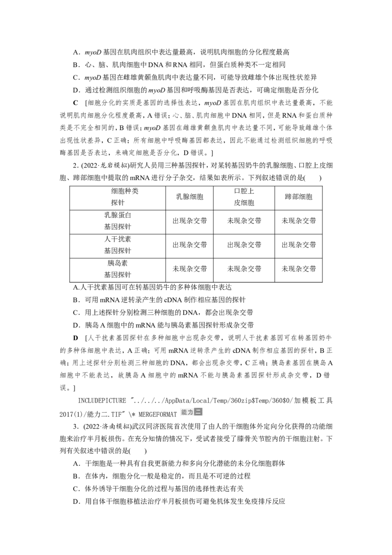 [12533083]高中生物一轮复习学案：第13讲　细胞的分化、衰老、凋亡与癌变_新高考复习资料_2023年新高考复习资料_一轮复习_精讲精练2023届新高考生物一轮复习学案