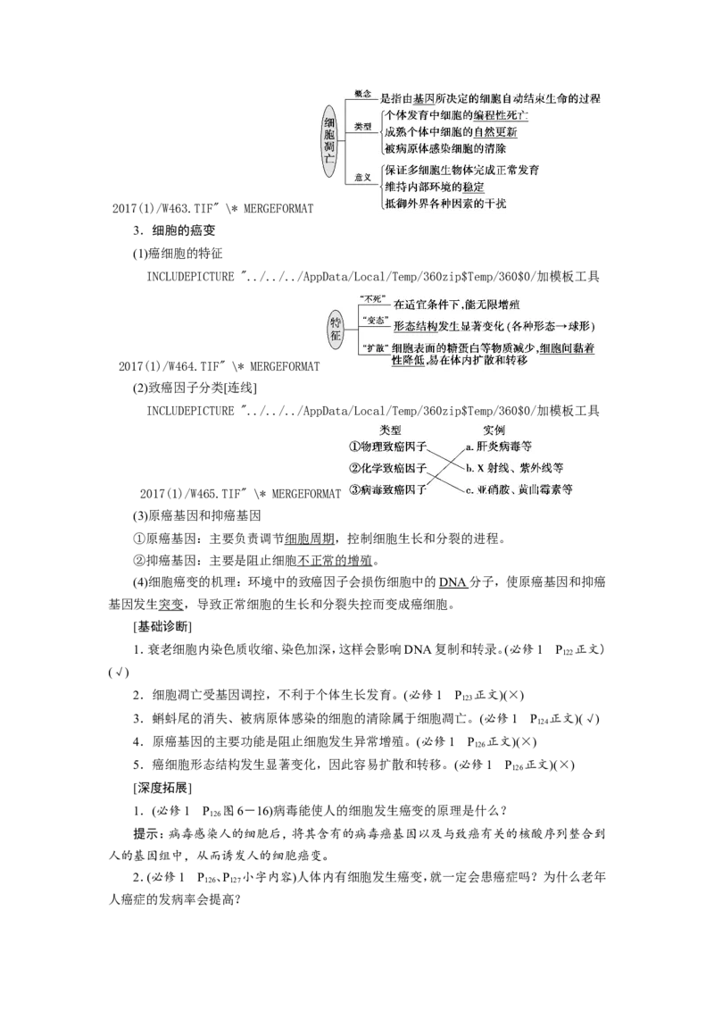 [12533083]高中生物一轮复习学案：第13讲　细胞的分化、衰老、凋亡与癌变_新高考复习资料_2023年新高考复习资料_一轮复习_精讲精练2023届新高考生物一轮复习学案