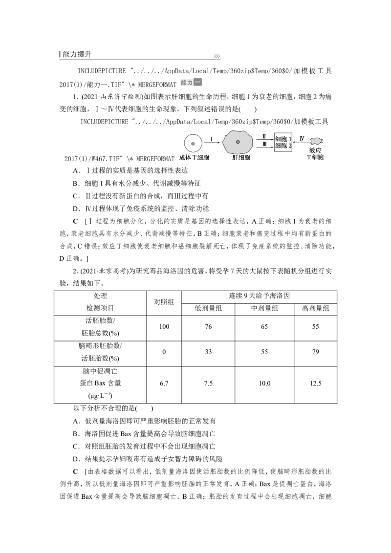[12533083]高中生物一轮复习学案：第13讲　细胞的分化、衰老、凋亡与癌变_新高考复习资料_2023年新高考复习资料_一轮复习_精讲精练2023届新高考生物一轮复习学案