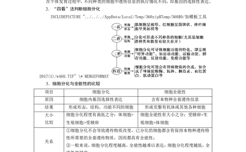 [12533083]高中生物一轮复习学案：第13讲　细胞的分化、衰老、凋亡与癌变_新高考复习资料_2023年新高考复习资料_一轮复习_精讲精练2023届新高考生物一轮复习学案