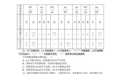 专练82　植物生命活动的调节综合练_新高考复习资料_2023年新高考复习资料_专项复习_2023《微专题&middot;小练习》&middot;生物&middot;新教材&middot;XL-7