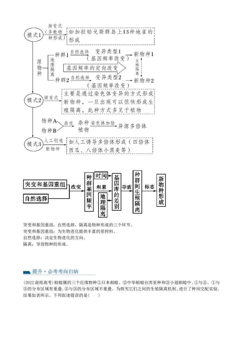 第24讲生物的进化（讲义）（教师版）_2024年新高考资料_1.2024一轮复习_2024年高考生物一轮复习讲练测（新教材新高考）