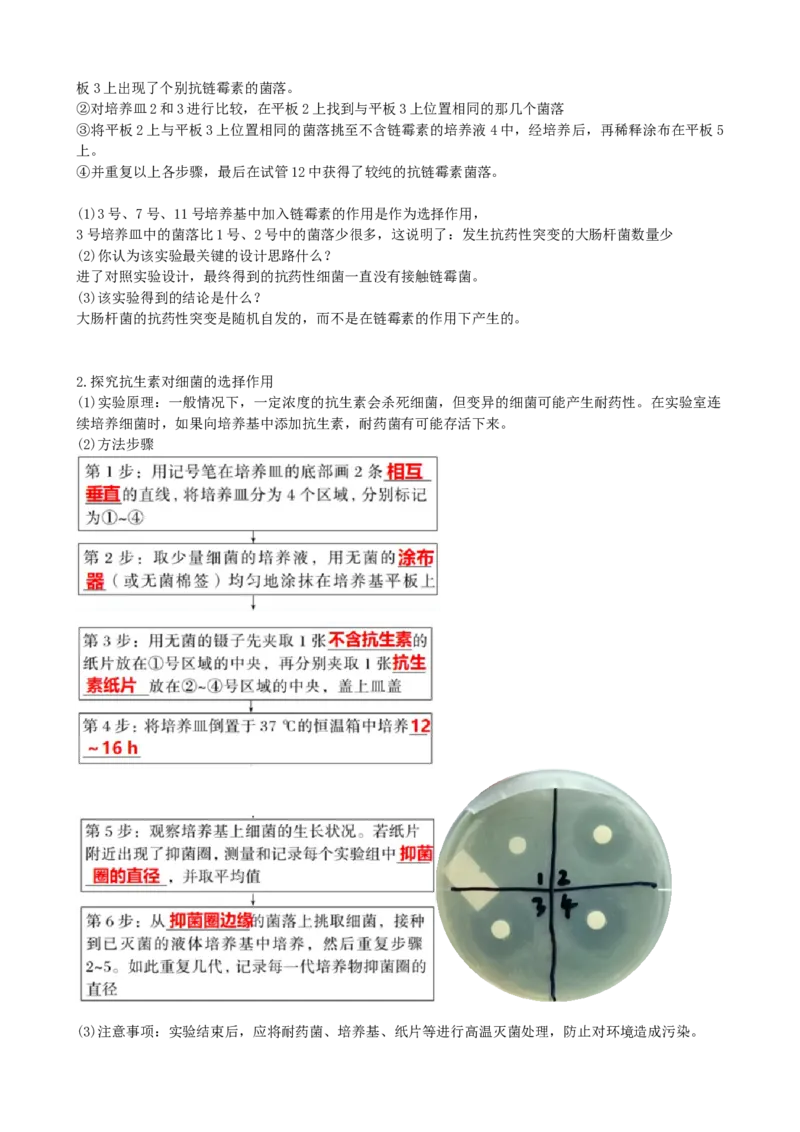 第24讲生物的进化（讲义）（教师版）_2024年新高考资料_1.2024一轮复习_2024年高考生物一轮复习讲练测（新教材新高考）