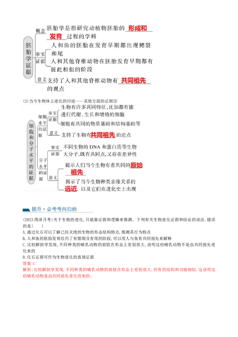 第24讲生物的进化（讲义）（教师版）_2024年新高考资料_1.2024一轮复习_2024年高考生物一轮复习讲练测（新教材新高考）