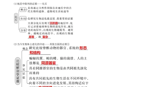 第24讲生物的进化（讲义）（教师版）_2024年新高考资料_1.2024一轮复习_2024年高考生物一轮复习讲练测（新教材新高考）
