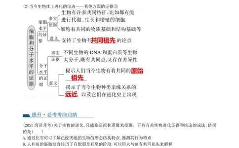 第24讲生物的进化（讲义）（教师版）_2024年新高考资料_1.2024一轮复习_2024年高考生物一轮复习讲练测（新教材新高考）