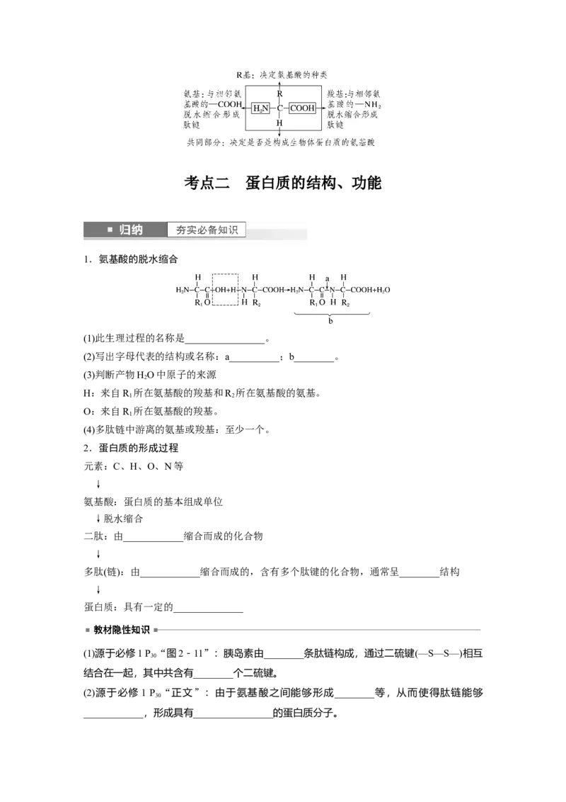 第1单元　第3课时　蛋白质是生命活动的主要承担者_2024年新高考资料_1.2024一轮复习_2024年高考生物一轮复习讲义（新人教版）_学生版在此文件夹_大一轮复习讲义
