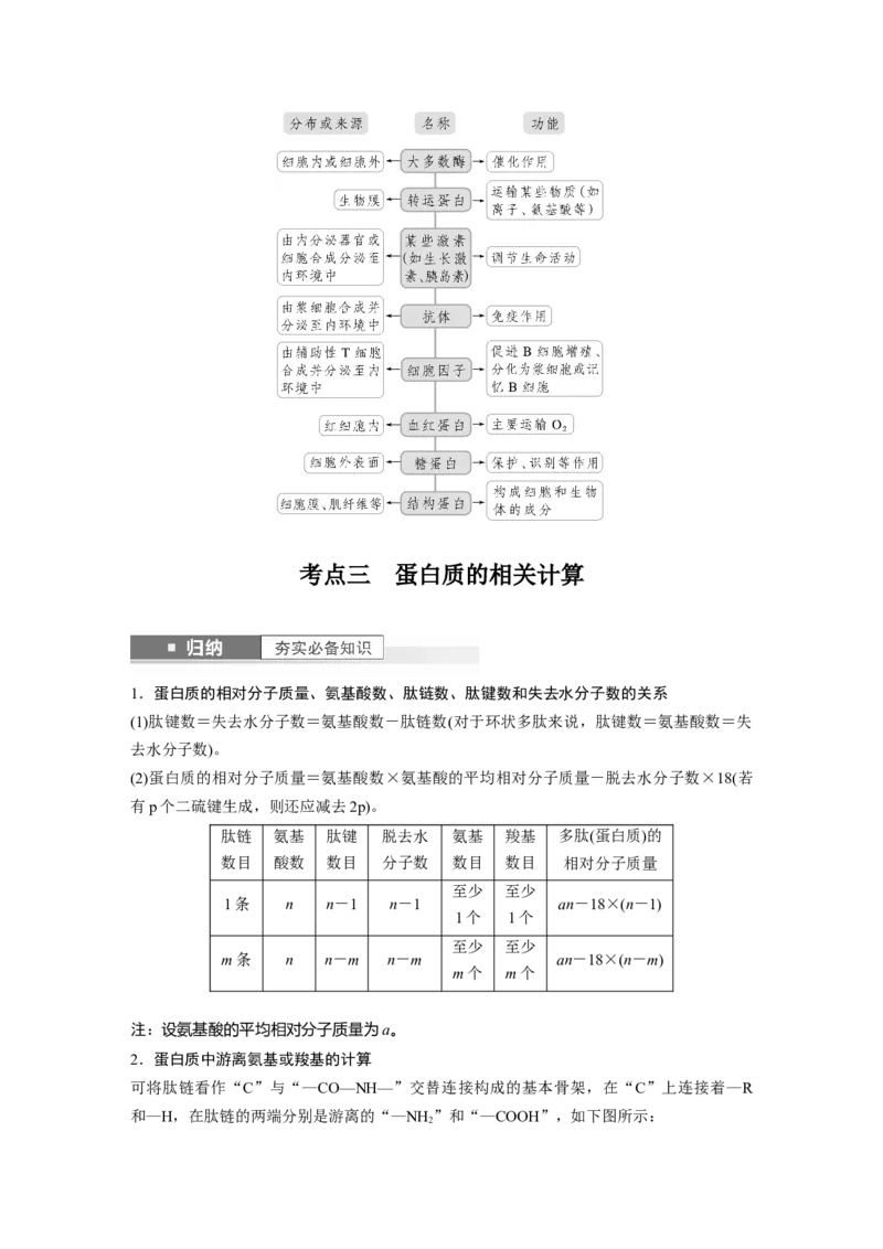 第1单元　第3课时　蛋白质是生命活动的主要承担者_2024年新高考资料_1.2024一轮复习_2024年高考生物一轮复习讲义（新人教版）_学生版在此文件夹_大一轮复习讲义