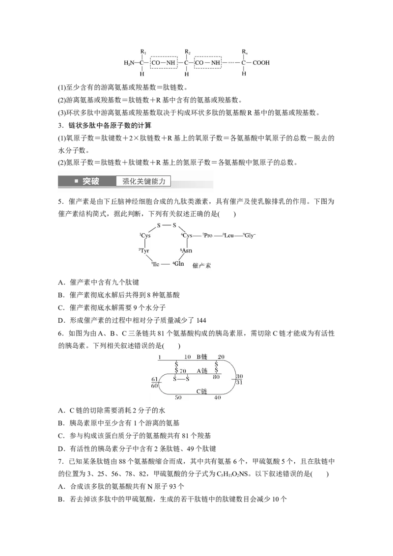 第1单元　第3课时　蛋白质是生命活动的主要承担者_2024年新高考资料_1.2024一轮复习_2024年高考生物一轮复习讲义（新人教版）_学生版在此文件夹_大一轮复习讲义