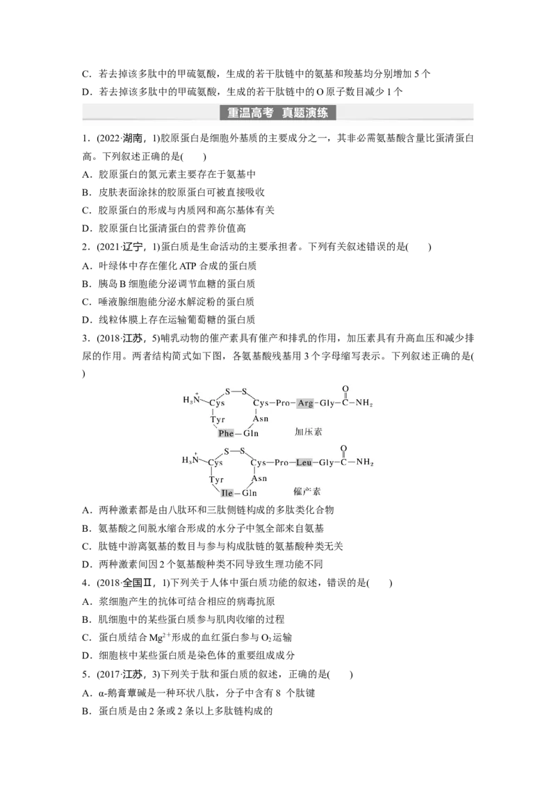 第1单元　第3课时　蛋白质是生命活动的主要承担者_2024年新高考资料_1.2024一轮复习_2024年高考生物一轮复习讲义（新人教版）_学生版在此文件夹_大一轮复习讲义