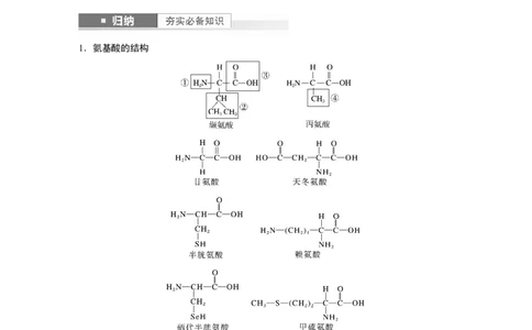 第1单元　第3课时　蛋白质是生命活动的主要承担者_2024年新高考资料_1.2024一轮复习_2024年高考生物一轮复习讲义（新人教版）_学生版在此文件夹_大一轮复习讲义