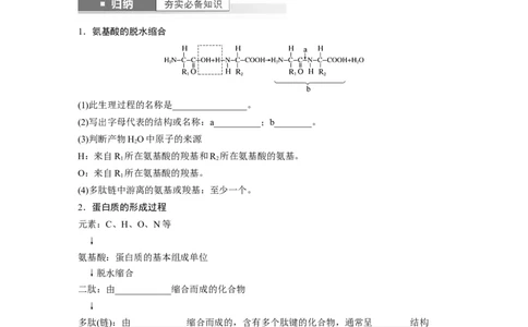 第1单元　第3课时　蛋白质是生命活动的主要承担者_2024年新高考资料_1.2024一轮复习_2024年高考生物一轮复习讲义（新人教版）_学生版在此文件夹_大一轮复习讲义