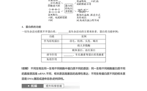 第1单元　第3课时　蛋白质是生命活动的主要承担者_2024年新高考资料_1.2024一轮复习_2024年高考生物一轮复习讲义（新人教版）_学生版在此文件夹_大一轮复习讲义