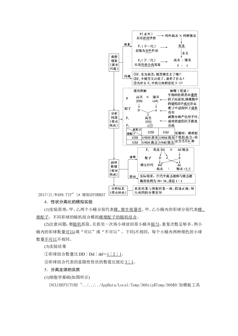 [12533085]高中生物一轮复习学案：第14讲　基因的分离定律_新高考复习资料_2023年新高考复习资料_一轮复习_精讲精练2023届新高考生物一轮复习学案