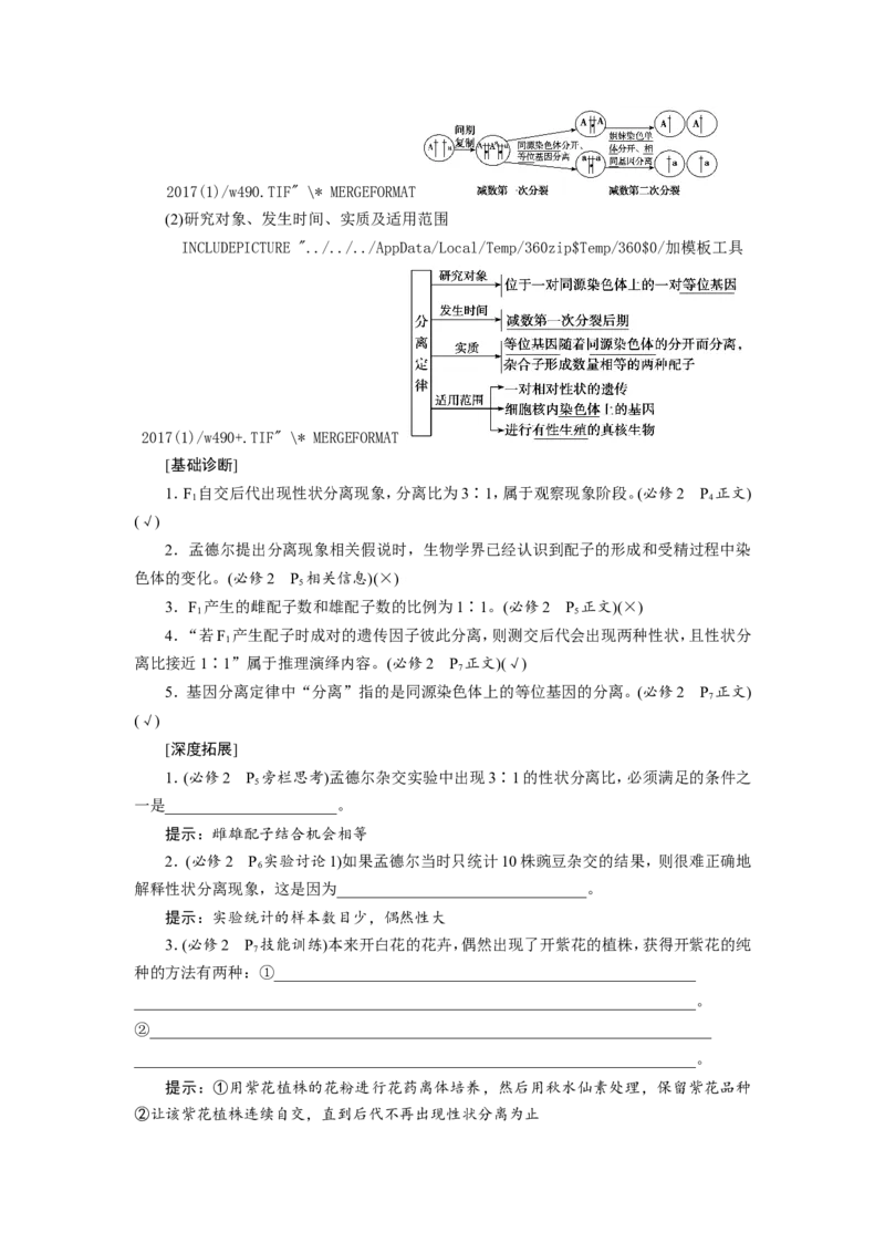 [12533085]高中生物一轮复习学案：第14讲　基因的分离定律_新高考复习资料_2023年新高考复习资料_一轮复习_精讲精练2023届新高考生物一轮复习学案