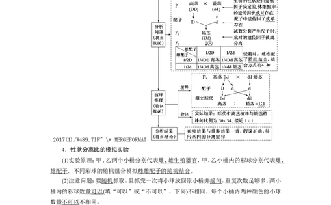 [12533085]高中生物一轮复习学案：第14讲　基因的分离定律_新高考复习资料_2023年新高考复习资料_一轮复习_精讲精练2023届新高考生物一轮复习学案