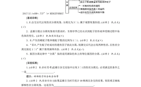 [12533085]高中生物一轮复习学案：第14讲　基因的分离定律_新高考复习资料_2023年新高考复习资料_一轮复习_精讲精练2023届新高考生物一轮复习学案
