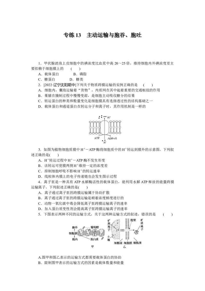 专练13　主动运输与胞吞、胞吐_新高考复习资料_2023年新高考复习资料_专项复习_2023《微专题&middot;小练习》&middot;生物&middot;新教材&middot;XL-7