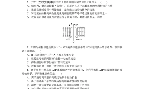 专练13　主动运输与胞吞、胞吐_新高考复习资料_2023年新高考复习资料_专项复习_2023《微专题&middot;小练习》&middot;生物&middot;新教材&middot;XL-7