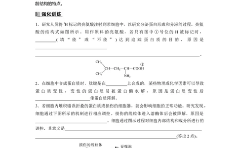 第2单元　长句表达(一)　与细胞有关的概念、特点和作用的描述_2024年新高考资料_1.2024一轮复习_2024年高考生物一轮复习讲义（新人教版）_学生版在此文件夹_大一轮复习讲义