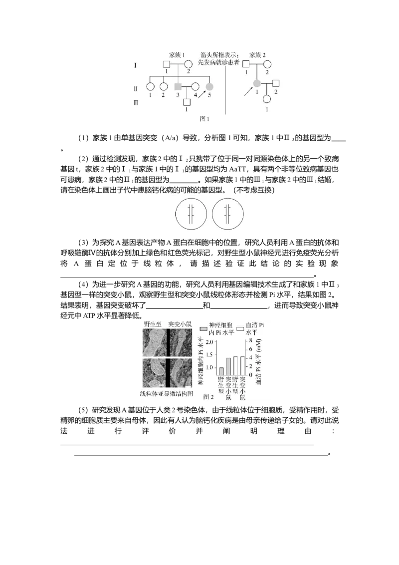 2025届高中生物学一轮复习检测案25　人类遗传病（含解析）_2025年新高考资料_一轮复习_2025届高中生物学一轮复习分层复习检测(含解析)
