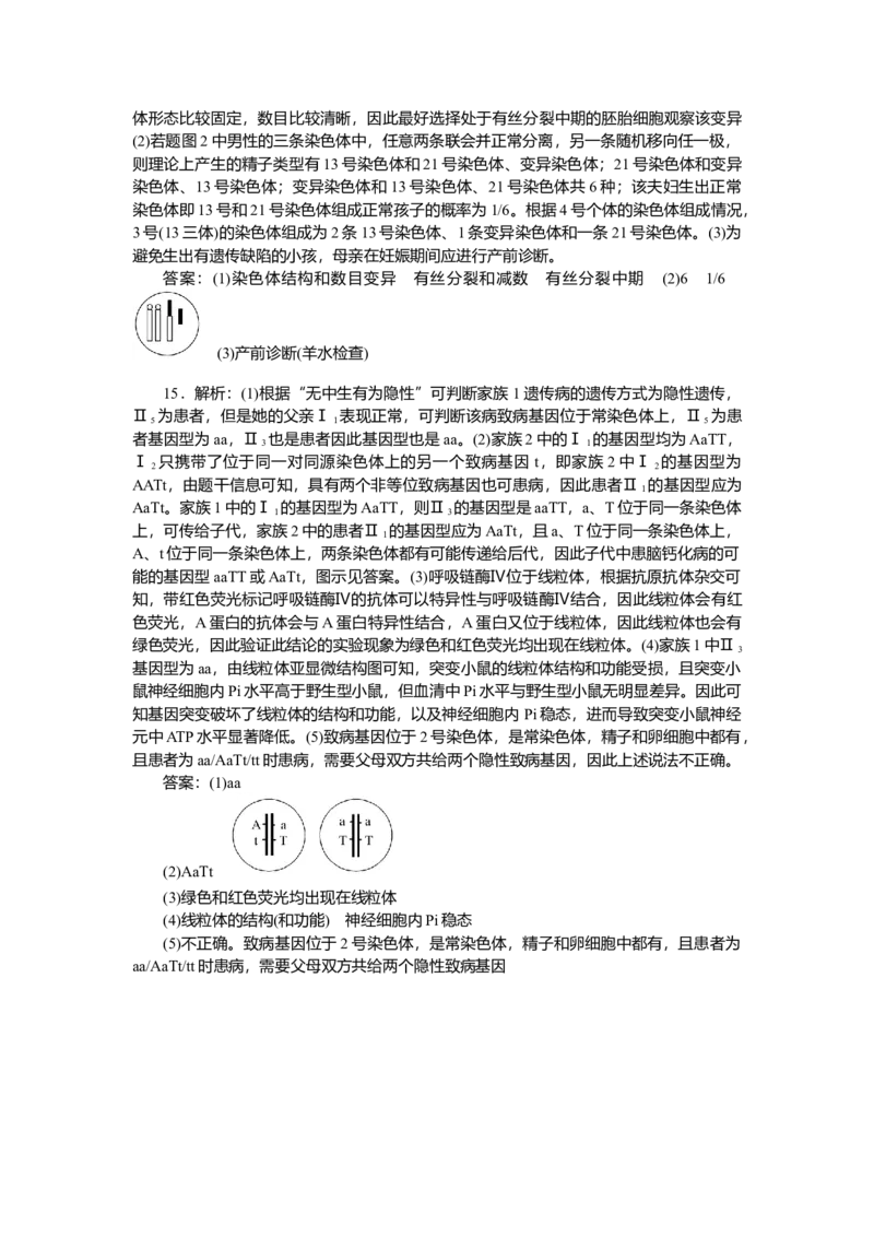 2025届高中生物学一轮复习检测案25　人类遗传病（含解析）_2025年新高考资料_一轮复习_2025届高中生物学一轮复习分层复习检测(含解析)