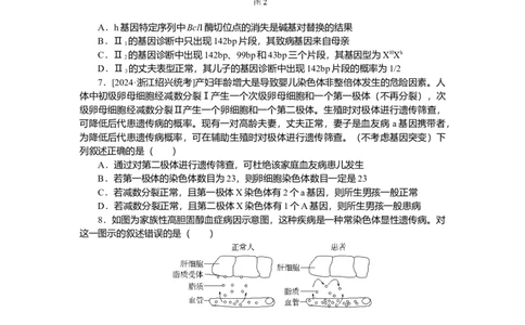 2025届高中生物学一轮复习检测案25　人类遗传病（含解析）_2025年新高考资料_一轮复习_2025届高中生物学一轮复习分层复习检测(含解析)