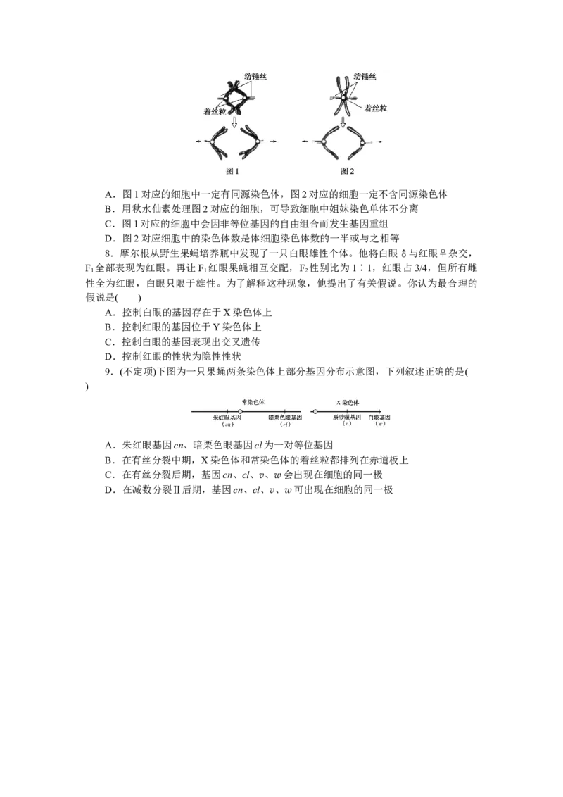 专练43　基因在染色体上_新高考复习资料_2023年新高考复习资料_专项复习_2023《微专题&middot;小练习》&middot;生物&middot;新教材&middot;XL-7
