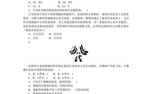 专练43　基因在染色体上_新高考复习资料_2023年新高考复习资料_专项复习_2023《微专题&middot;小练习》&middot;生物&middot;新教材&middot;XL-7