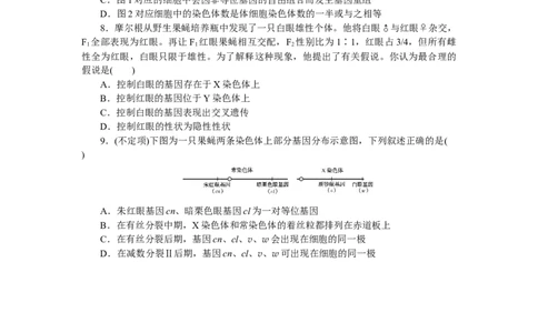 专练43　基因在染色体上_新高考复习资料_2023年新高考复习资料_专项复习_2023《微专题&middot;小练习》&middot;生物&middot;新教材&middot;XL-7