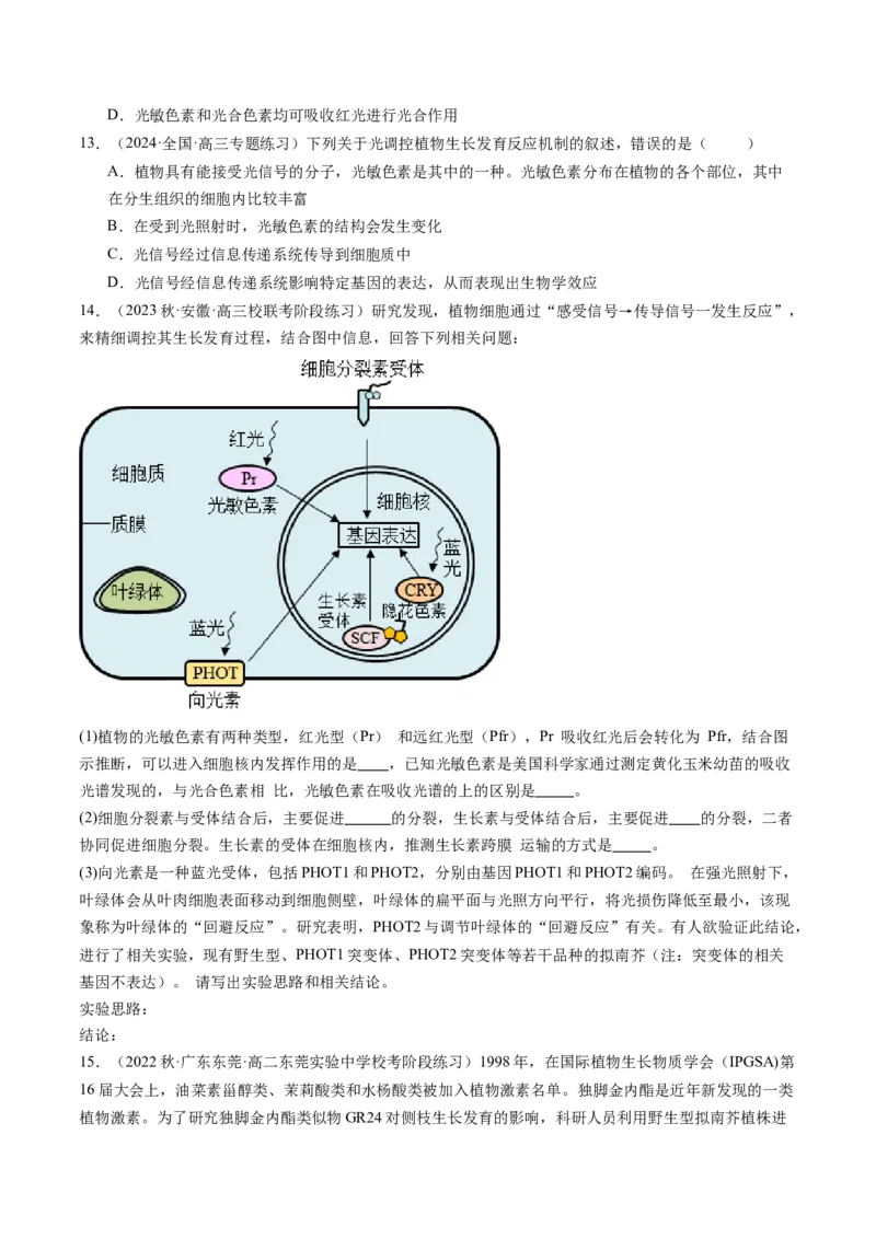 第32.2讲其他植物激素、植物生长调节剂的应用、环境因素参与调节植物的生命活动（练习）（原卷版）_2024年新高考资料_1.2024一轮复习_2024年高考生物一轮复习讲练测（新教材新高考）