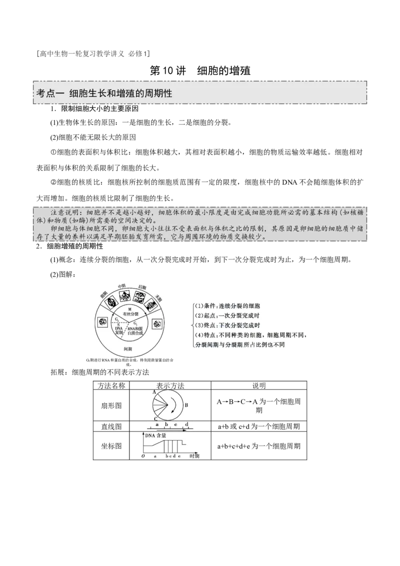 GKSW150_第10讲细胞的增殖-备战2022年高考生物一轮复习精品讲义（人教版）(原卷版)_新高考复习资料_2022年新高考复习资料_备战2022新高考生物一轮复习精品讲义（人教版）