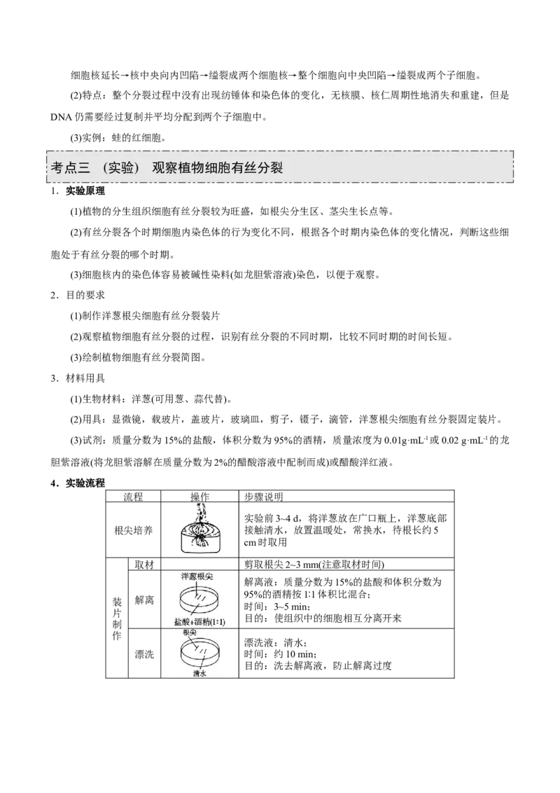 GKSW150_第10讲细胞的增殖-备战2022年高考生物一轮复习精品讲义（人教版）(原卷版)_新高考复习资料_2022年新高考复习资料_备战2022新高考生物一轮复习精品讲义（人教版）