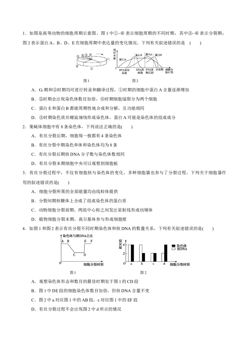 GKSW150_第10讲细胞的增殖-备战2022年高考生物一轮复习精品讲义（人教版）(原卷版)_新高考复习资料_2022年新高考复习资料_备战2022新高考生物一轮复习精品讲义（人教版）